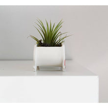 Load image into Gallery viewer, Small Red Westfalia Ceramic Planter