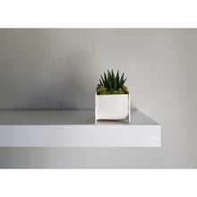 Load image into Gallery viewer, Organic Fruits Vintage Truck Planter